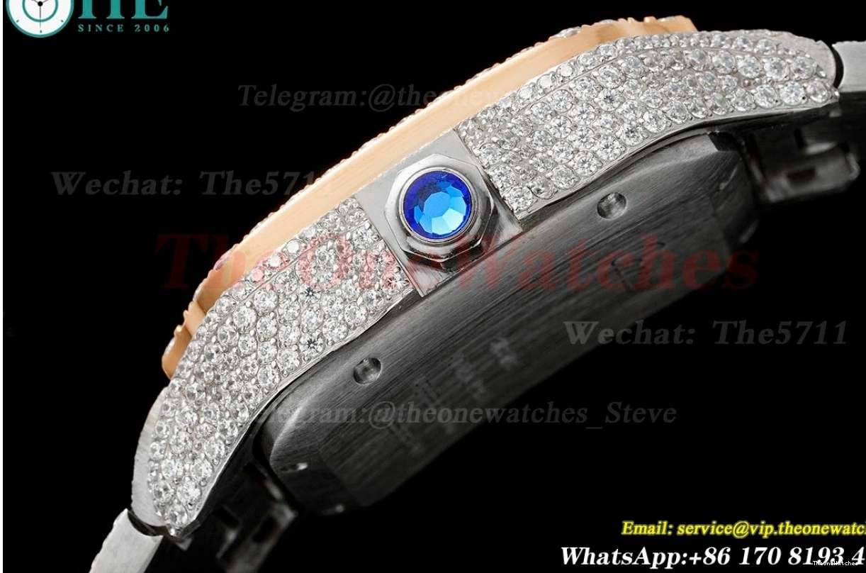 AMG 40mm Mens RG Rmn Dia SS XL MY9015 Santos 100 SS 0415